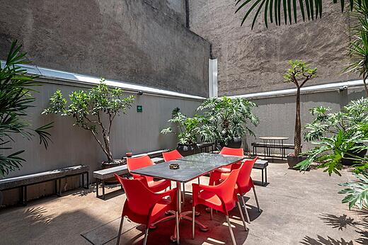 Patio trasero